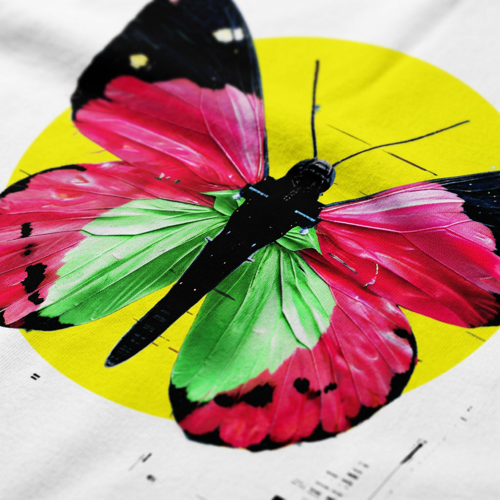 BUTTERFLY C